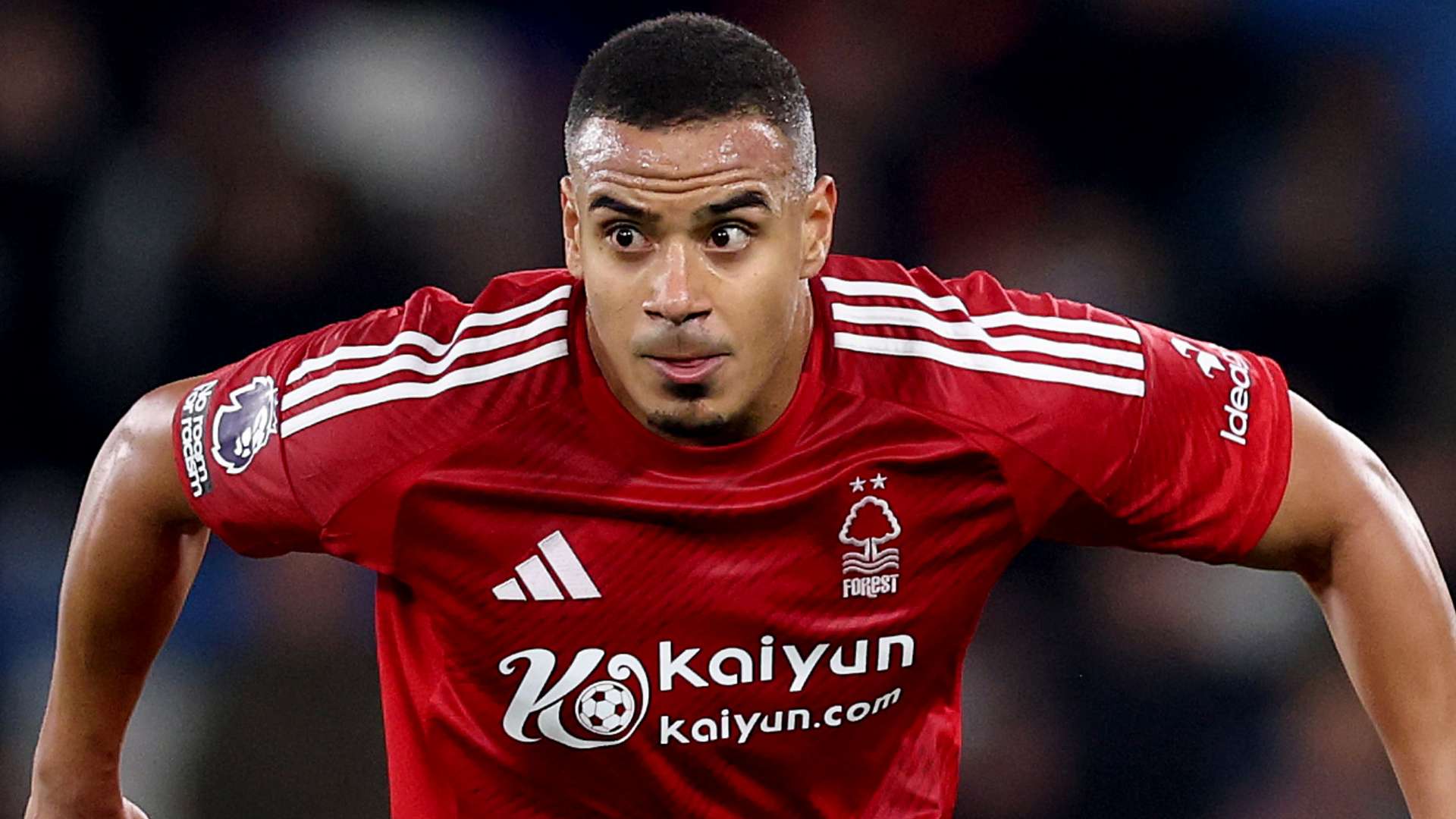 再創佳績 再創佳績