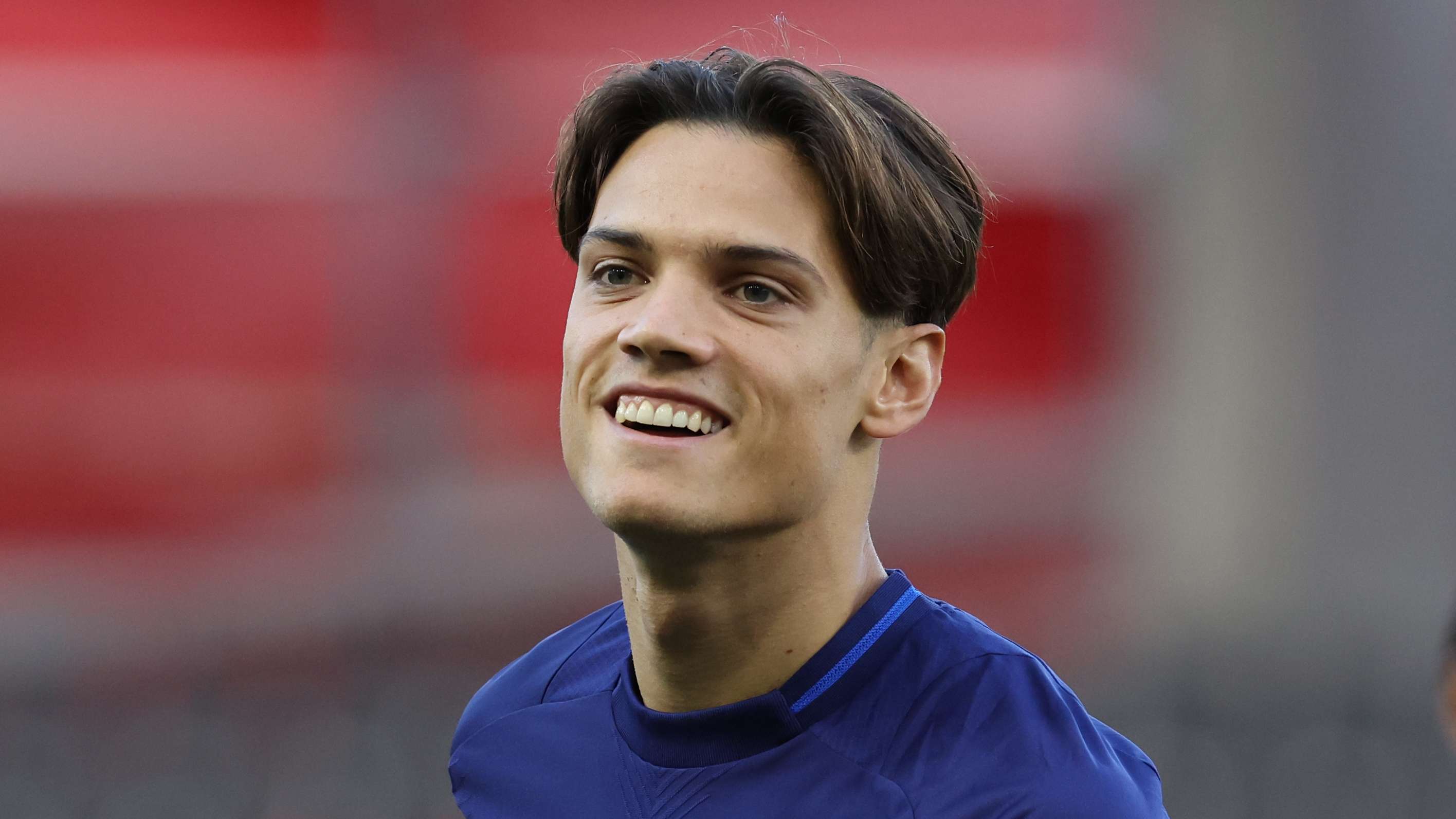 維迪奇以其 維迪奇以其