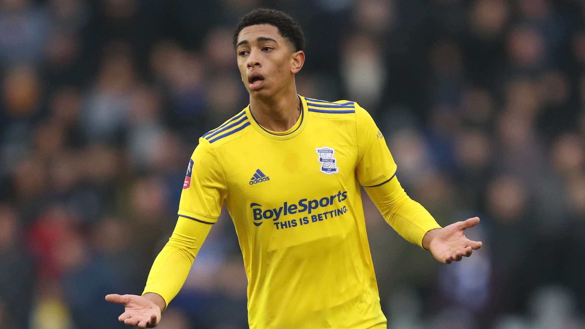 重要作用 重要作用